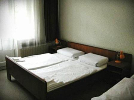 פראג Hotel Michle מראה חיצוני תמונה